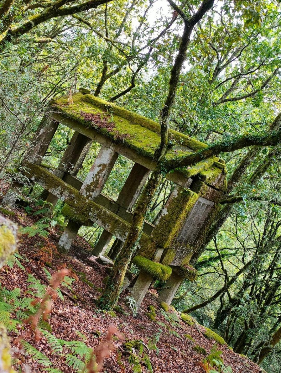 Гостевой дом Casa Da Rapadoira Laxoso de Abaixo Экстерьер фото